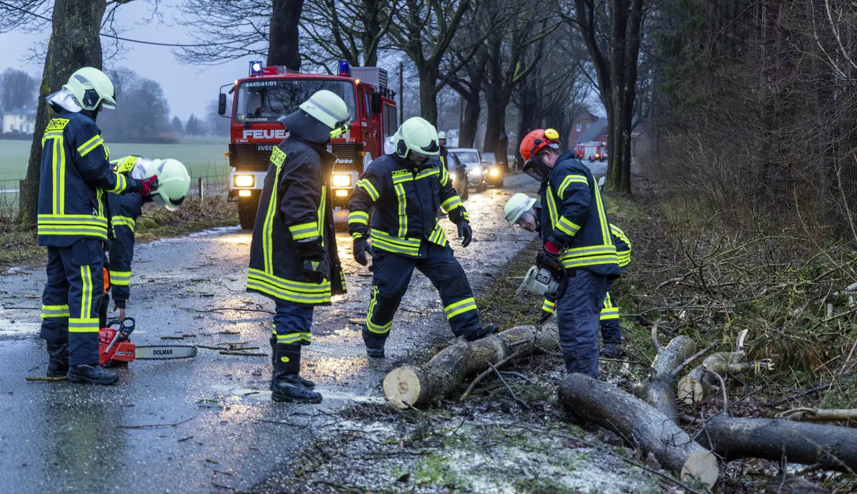 Petugas pemadam kebakaran membersihkan jalan setelah pohon tumbang di jalan dekat Dragun, Jerman, Kamis (17/2/2022). Badan meteorologi memperingatkan bahwa lebih lanjut cuaca ekstrim sedang dalam perjalanan. (Photo: Jens Buettner/dpa via AP)