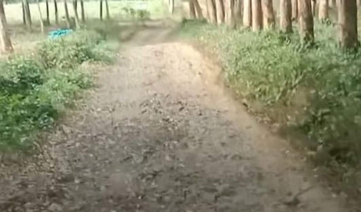 Wanita dengan akrab sapaan Umi ini terus melaju mengemudikan truk walaupun melewati hutan dan jalan rusak.&nbsp;<br>