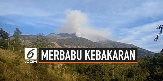 VIDEO: Merbabu Kebakaran Lagi Pagi ini