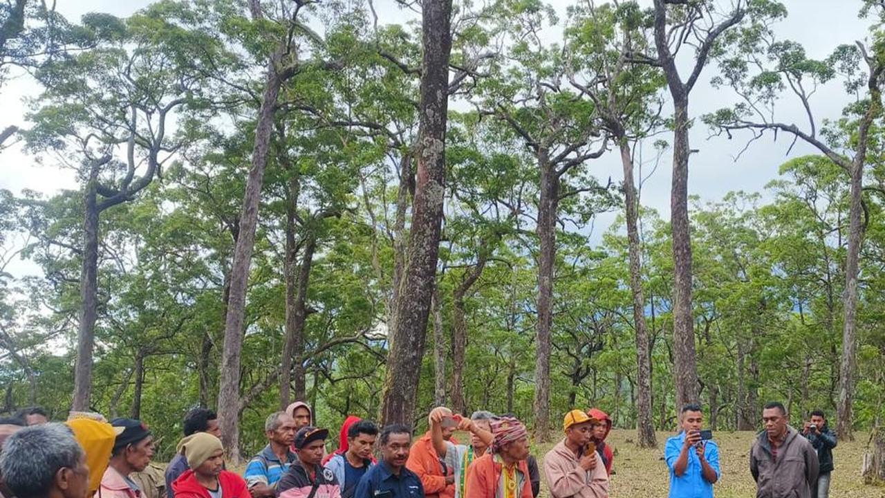 Ritual Sanksi Adat Akibat Langgar Kawasan Hutan Lindung