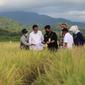 Menteri Pertanian (Mentan) Syahrul Yasin Limpo saat menghadiri panen padi bersama musim tanam (MT) 2020/2021 di Desa Lawallu, Kecamatan Sopeng Riaja, Kabupaten Barru. Dok Kementan