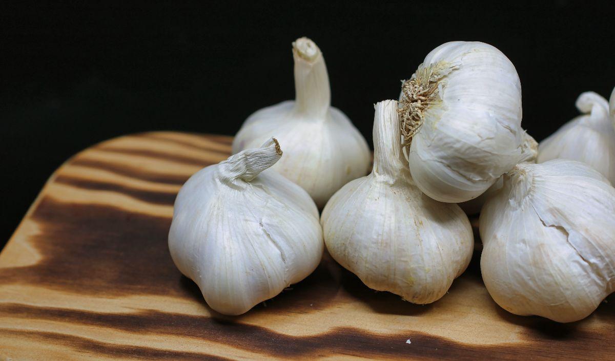 Bawang Putih
