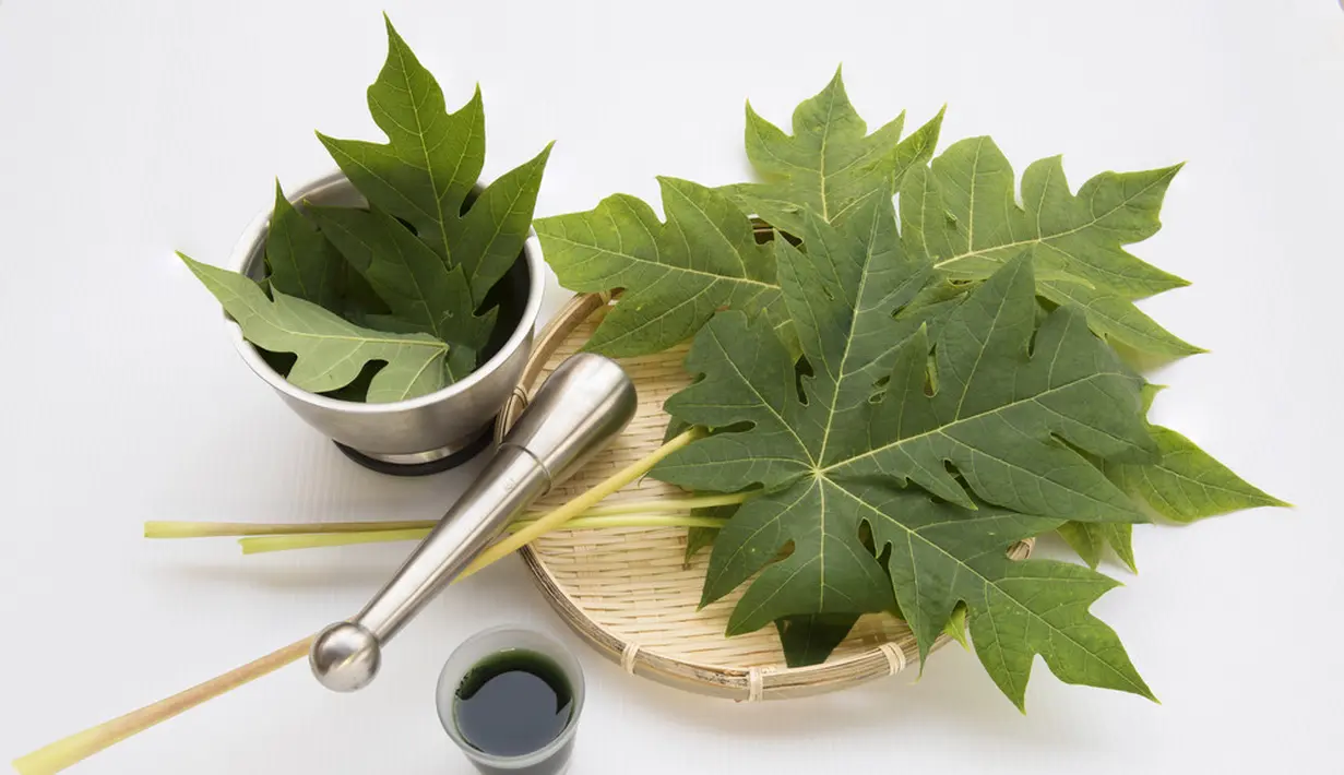 Seperti nanas, daun pepaya  juga mengandung papain yang bisa membuat daging yang dimasak lebih empuk. (shutterstock/Christina Siow)