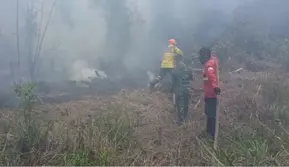 PDIP Ungkap Dua Masalah Utama di Balik Kebakaran Hutan