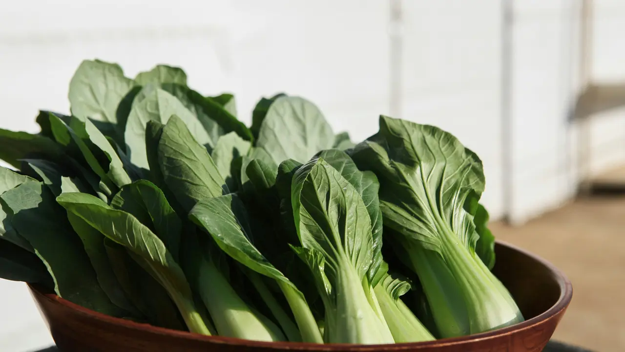 Bok Choi