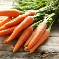 ilustrasi wortel/shutterstock/5 second studio