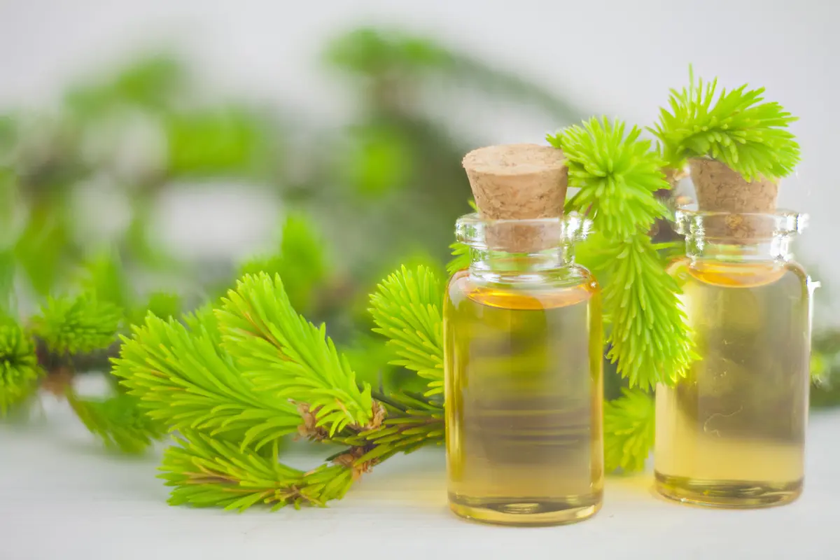 Tea Tree Oil
