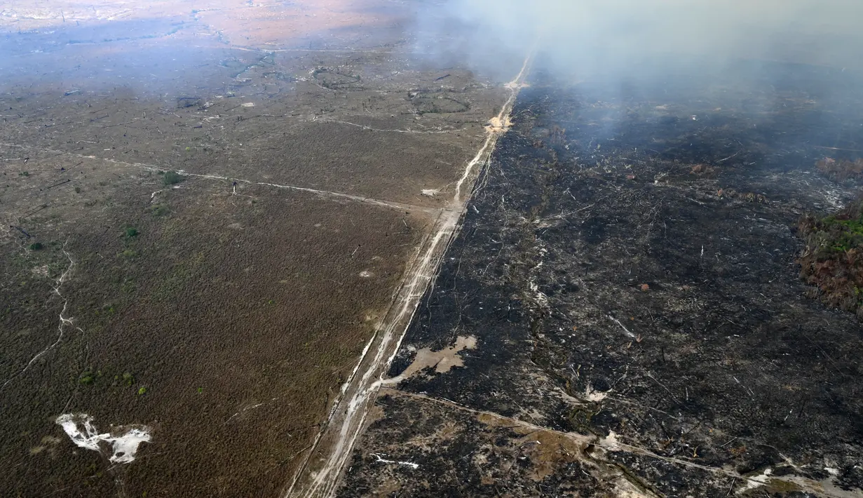 <p>Amazon secara keseluruhan telah mencatat lebih dari 42.000 kebakaran hutan dari 1 Januari hingga 19 Agustus, menurut INPE, jumlah terburuk dalam hampir dua dekade terakhir. (EVARISTO SA / AFP)</p>