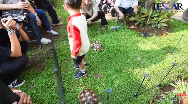 7 Potret taman rumah Lesti Kejora, minimalis tapi asri banget