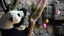 Panda raksasa Erxi menikmati es batu dari buah yang berbentuk bola di sebuah ruangan berpendingin udara di Jinan Wildlife World, Jinan, Shandong, China, Minggu (14/6/2020). Jinan Wildlife World menyiapkan ruangan berpendingin udara dan es batu untuk menjaga Erxi tetap merasa sejuk. (Xinhua/Wang Kai)