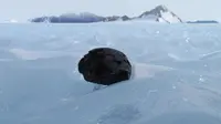 Terkuak, Antartika adalah Kuburan Meteor Besi (BBC)
