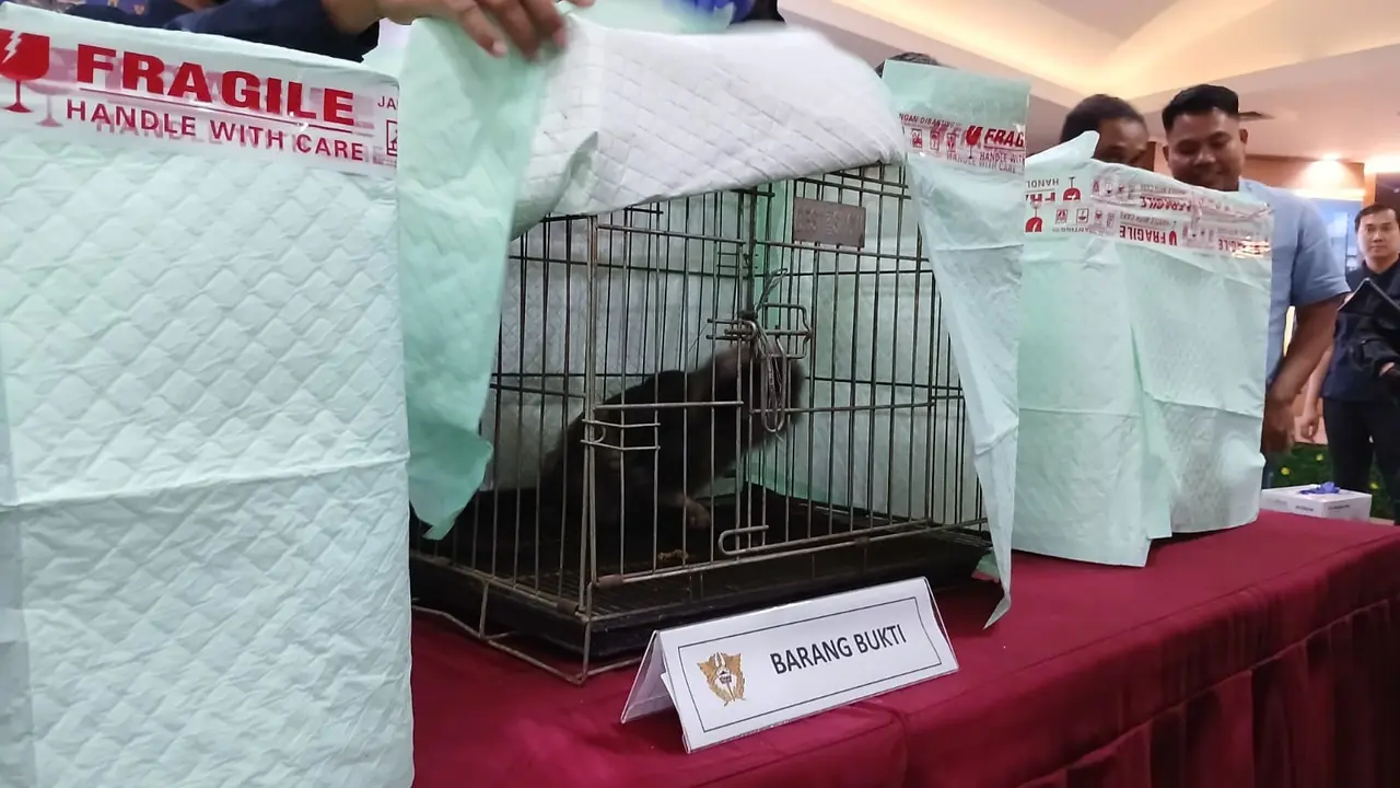 WN India mencoba menyelundupkan hewan langka asal Indonesia melalui Bandara Internasional Soekarno Hatta (Soetta) (Istimewa)