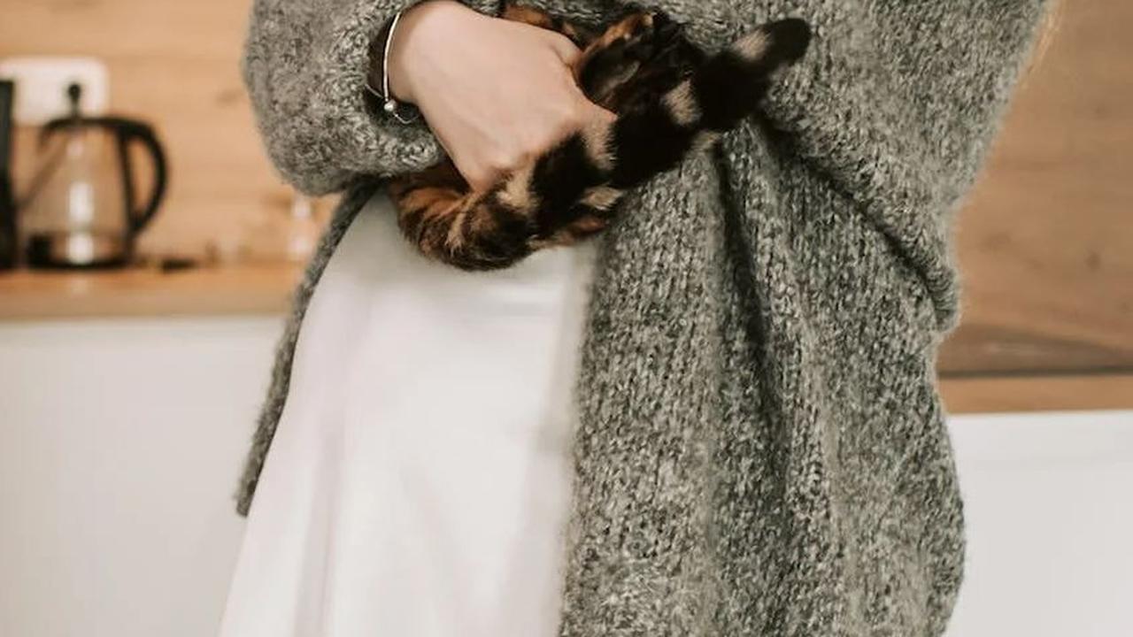 Bahaya Bulu Kucing atau Mitos?