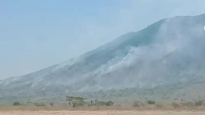 Kebakaran di Gunung Baluran Kawasan Taman Nasional Baluran Situbondo. ((Foto: Instagran btn_baluran)