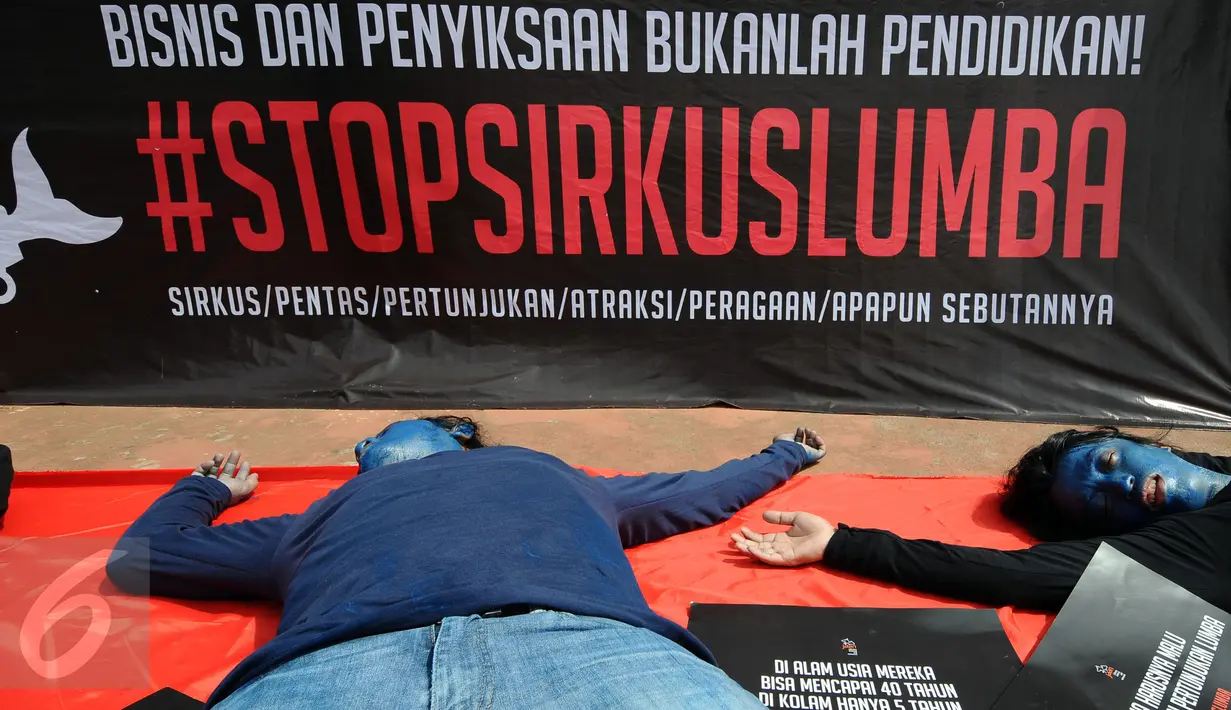 Aktivis JAAN melakukan aksi teatrikal menolak eksploitasi hewan lumba-lumba di Jakarta, Senin (31/10). Mereka menilai pentas satwa lumba-lumba tidak menyampaikan pesan edukasi dan tidak menghargai . (Liputan6.com/Helmi Fithriansyah)