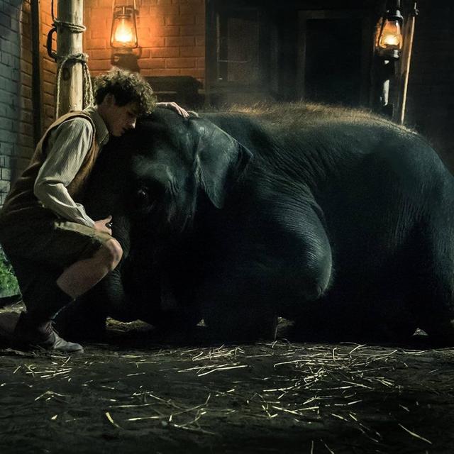 Zoo (2017)