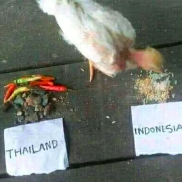 hewan prediksi pertandingan indonesia vs thailand