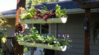 10 Ide Kreatif Manfaatkan Pipa Air Jadi Pot Bunga Taman Fashion Fimela Com