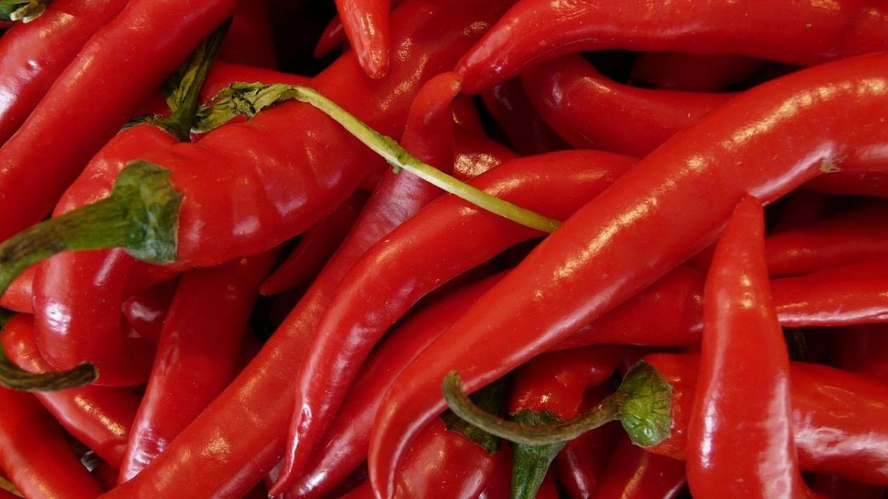 Mengenal Cayenne Pepper