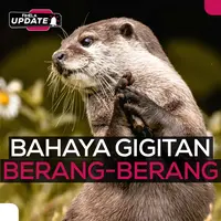 Fimela Update: Berang-berang