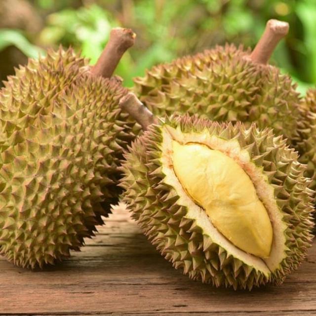 Unduh 8200 Gambar Durian Petruk Keren Gratis
