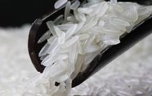 Membersihkan Kutu Beras dengan Freezer: Cara Praktis Tanpa Bahan Kimia