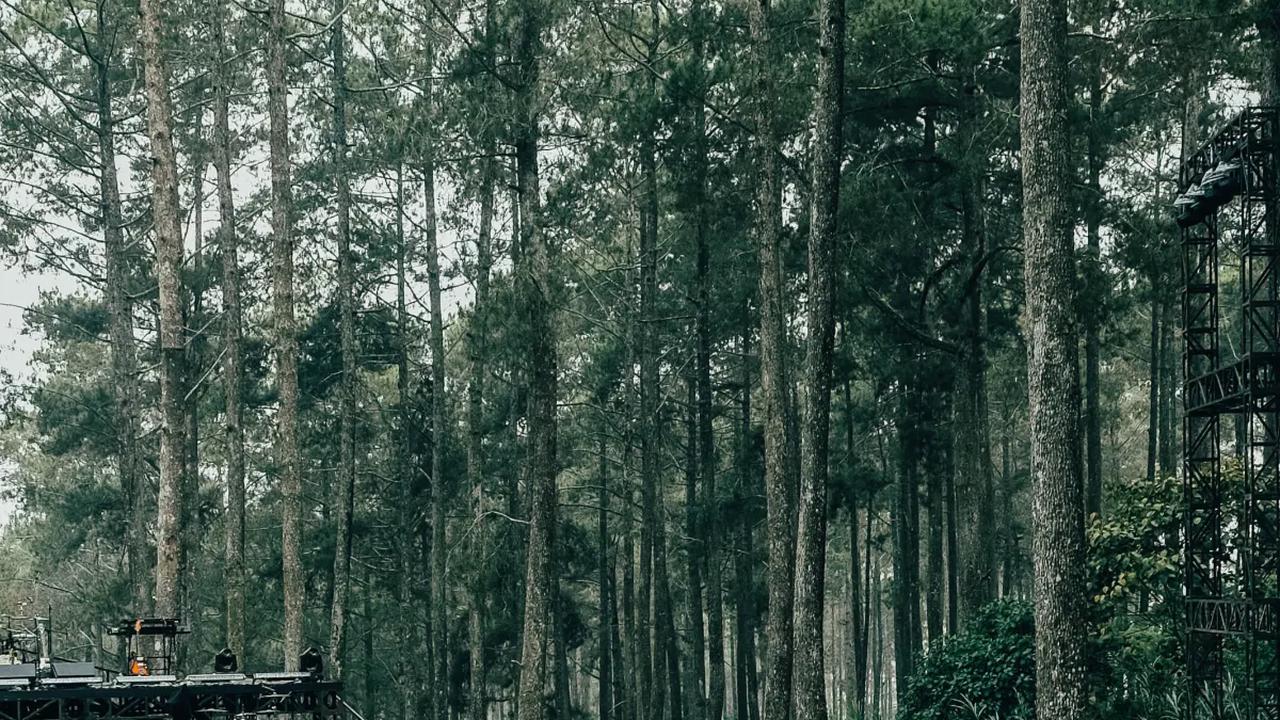Rekomendasi Tempat Wisata di Bandung Cocok untuk Libur Akhir Tahun, Lengkap Harga Tiket Masuk