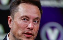 Otoritas Pengawas Obat dan Makanan AS Temukan Kejanggalan Uji Coba Chip Otak Elon Musk pada Hewan