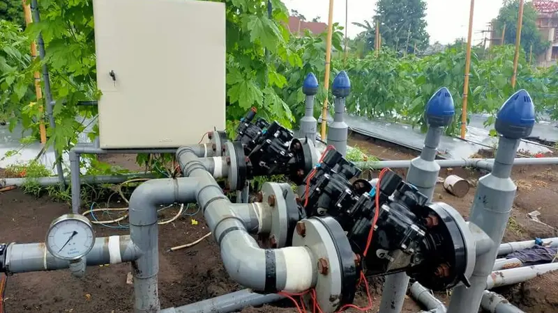 Smart Farming Maring Drip Irrigation System, karia Yance Maring, untuk menyirami tanaman tomat dan lombok. (Liputan6.com/ Dionisius Wilibardus)