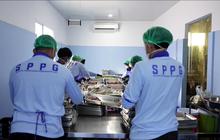 Program MBG Dinilai Berdampak Besar terhadap Sektor Ketenagakerjaan