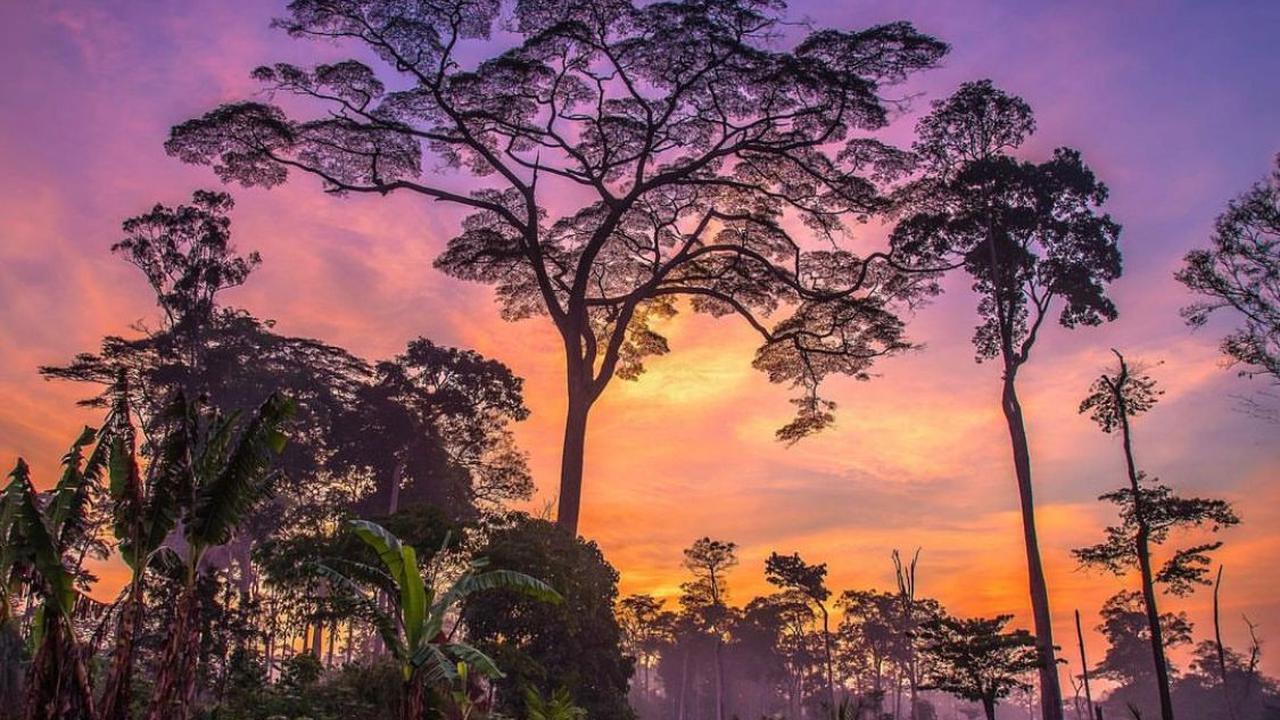 Ilustrasi pemandangan di Republik Afrika Tengah