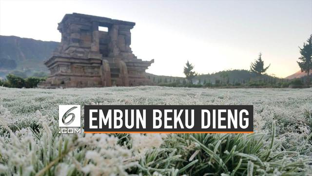 Perbedaan Embun Beku Dieng dan Salju Eropa