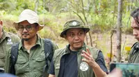 Menhut Lepasliarkan 2 Orangutan di Tanjung Puting, Jaga Lestari Habitat Alami