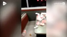 Para karyawan di restoran cepat saji di Houston, Texas, dibuat kewalahan karena ulah siswa SMA yang membuat restoran menjadi penuh dengan sampah.