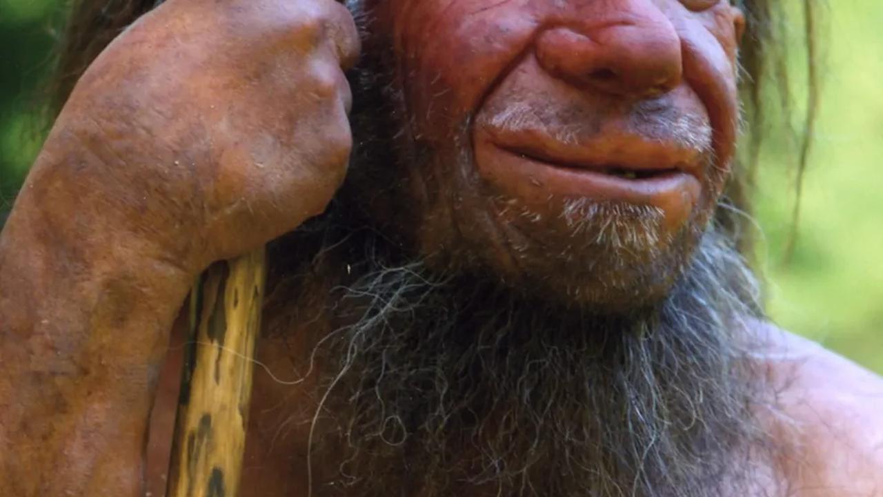 Kapan Pertama Kali Homo Sapiens Muncul Jadi Perdebatan, Begini Analisis Ahli Soal Asal Usul Manusia Modern