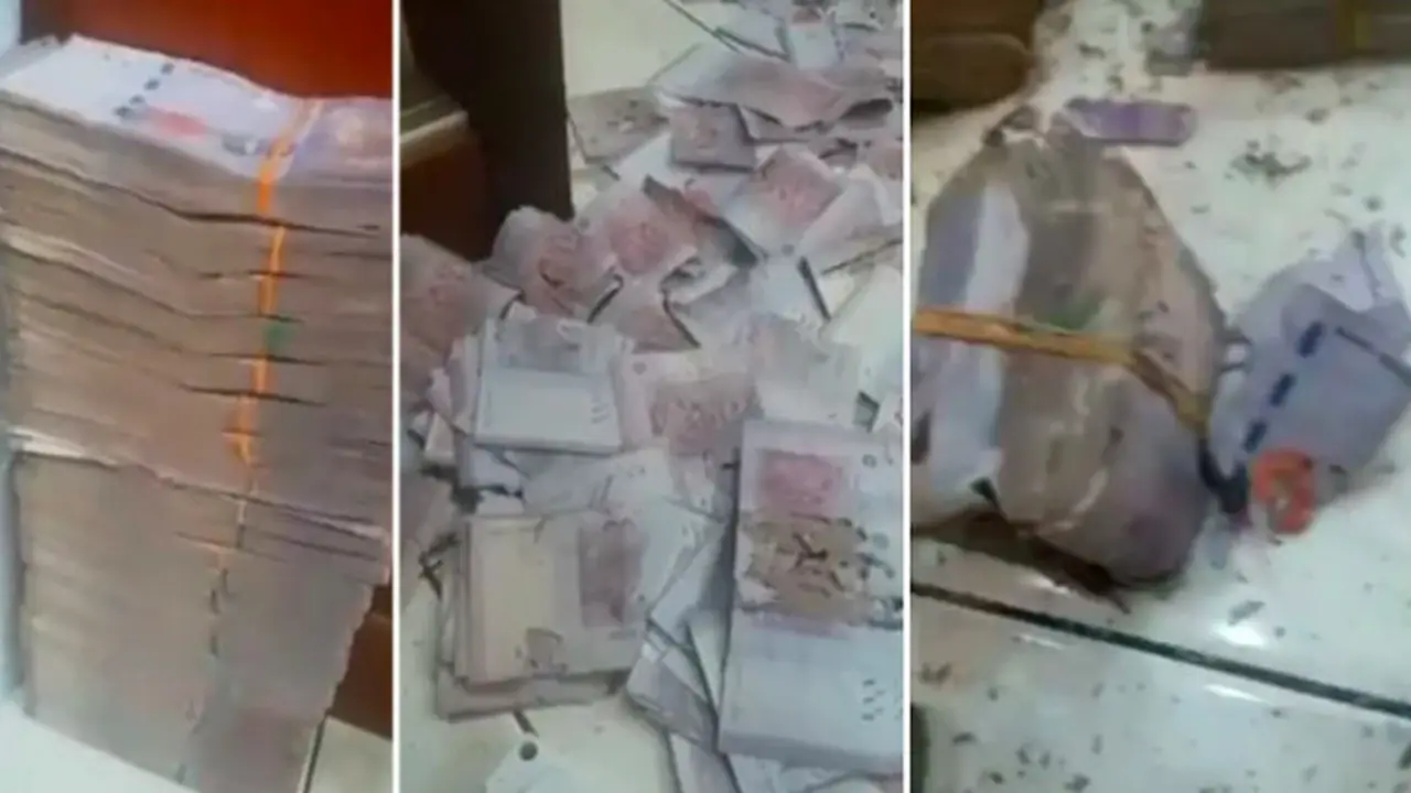 Disimpan dalam Kaleng Bekas, Uang Rp 1 Miliar Milik Nenek Ini Rusak Dimakan Hama