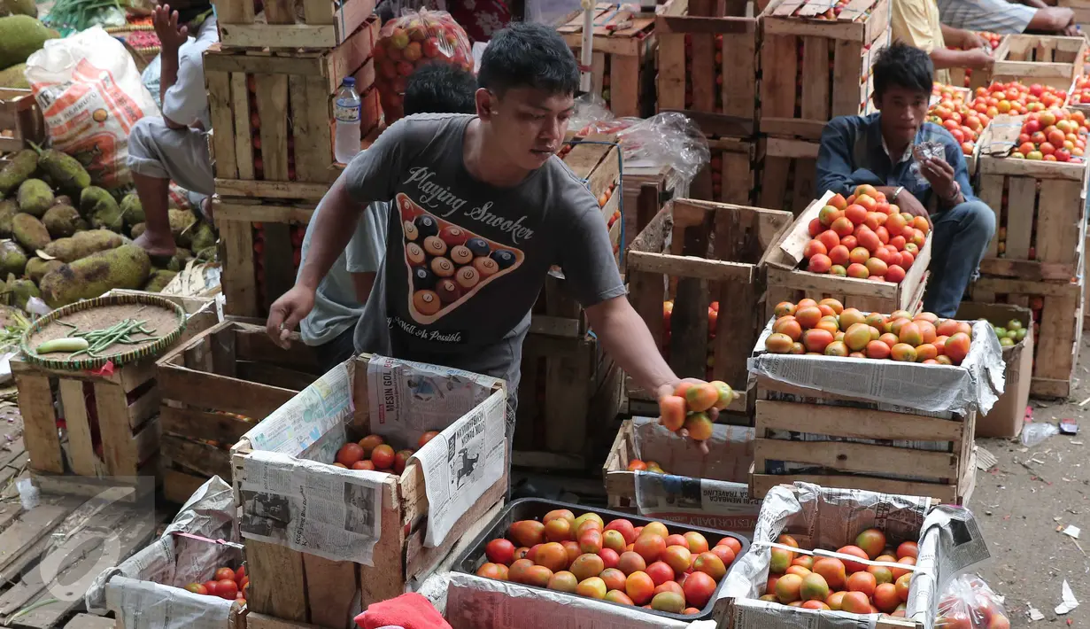Pedagang menata tomat dagangannya di Pasar Induk Kramat Jati, Jakarta, Selasa (22/12). Jelang Natal dan tahun baru, harga sayur mayur dan beberapa kebutuhan pokok lainnya di beberapa pasar tradisional di Jakarta merangkak naik. (Liputan6.com/Angga Yuniar)