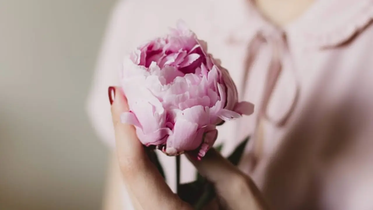 Ilustrasi. | Foto: copyright pexels.com