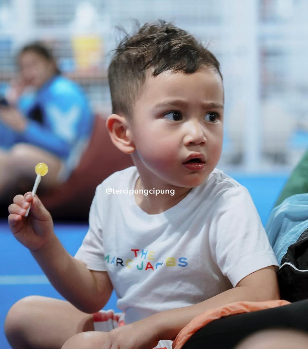 5 Potret Cipung dengan Lolipop di Tangan, Ekspresi Lucunya yang Sukses Curi Perhatian