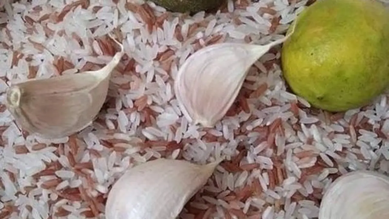 Tanpa Cabai atau Cuka, Begini Cara Hilangkan Kutu pada Beras Secara Efektif