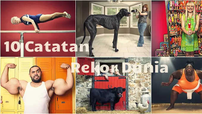 Courtesy Telegraph.co.uk