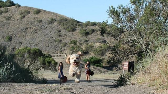 Harus Dilihat Dua Kali, 6 Foto Ini Bikin Terkecoh