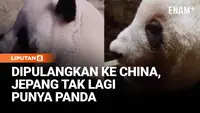 Diplomasi Panda Berakhir, Jepang Kembalikan Xiao Xiao dan Lei Lei ke China