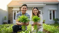 8 Ide Kebun Kangkung untuk Rumah Type 36, Bisa Buat Sambilan