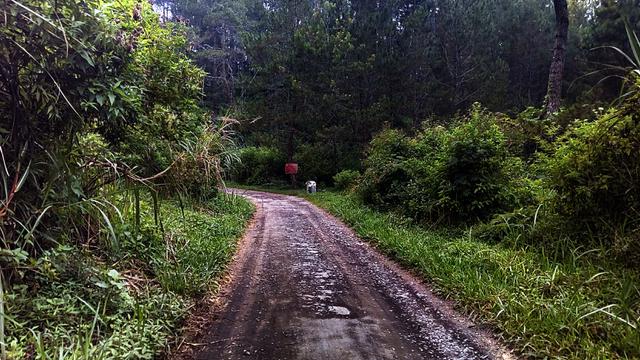 Sensasi Pagi di Danau Bekas Persembunyian Kartosoewirjo ...