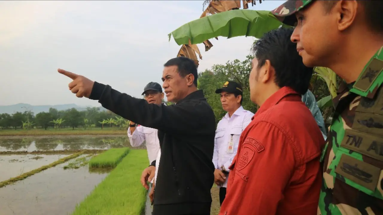 Kementan