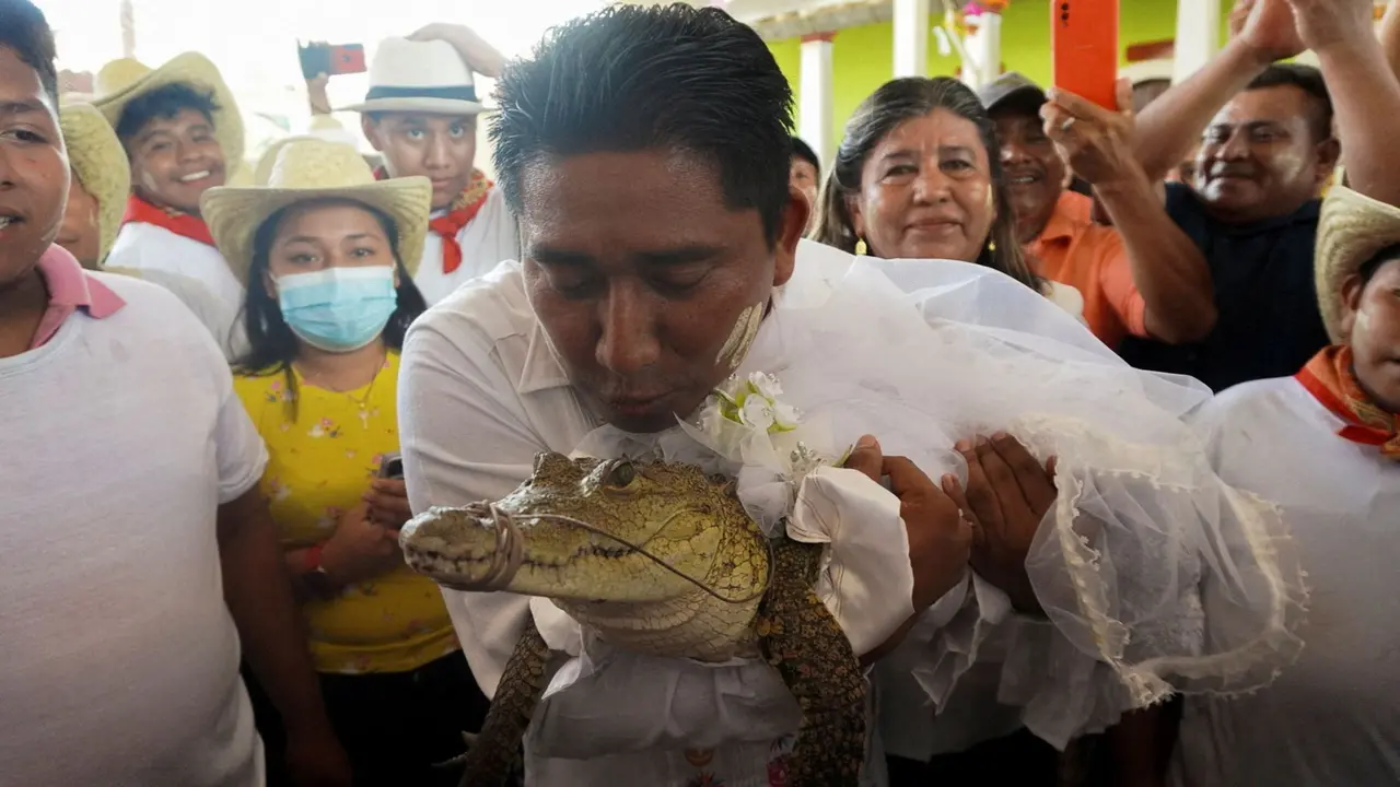 Walikota di Meksiko Nikahi Buaya Betina untuk Ritual Panen, Tradisi Selama 230 Tahun