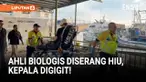 Seorang biologis asal Meksiko selamat dari serangan hiu saat melakukan penelitian di Isla del Coco, Costa Rica. Korban mengalami luka serius di kepala, wajah, dan tangan, namun kini dalam kondisi stabil.