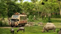 Petualangan Lebih Intim Bersama Satwa Liar dalam Lingkungan Alaminya di Taman Safari Bali.&nbsp; foto: istimewa