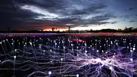 Indahnya "Ladang Cahaya" di Gurun Uluru, Australia (foto : Mark Pickthall)